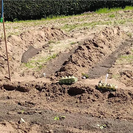 Ferienwohnung Heuboxen VOR DEM BERG Apartment Heideblick