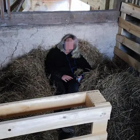 Ferienwohnung Heuboxen VOR DEM BERG